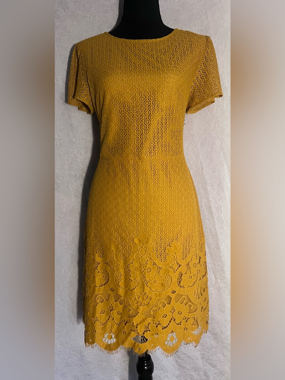 LOFT Mustard Yellow Lace Short-Sleeve Mini Dress